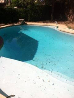Glendale Pool Plumbing Leaks | Pink Dolphin Pool Care